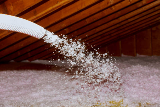 Best Insulation for New Construction  in Iron Mountain, MI