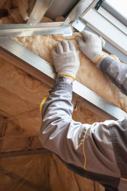 Best Cellulose Insulation  in Iron Mountain, MI