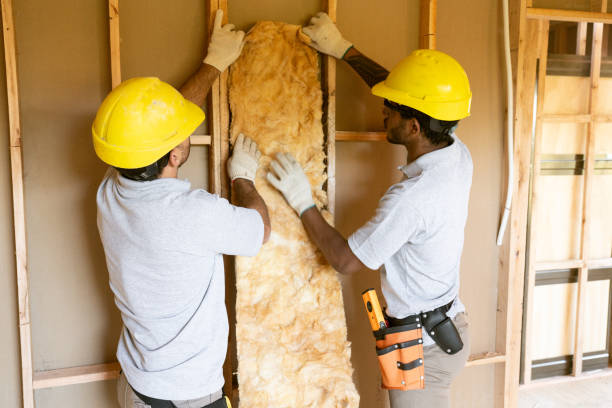 Best Insulation Replacement Services  in Iron Mountain, MI